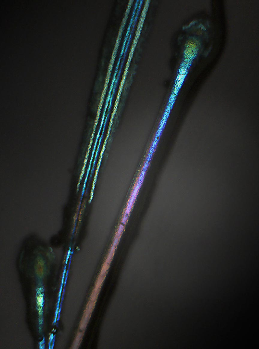 Abstract photography of a hair